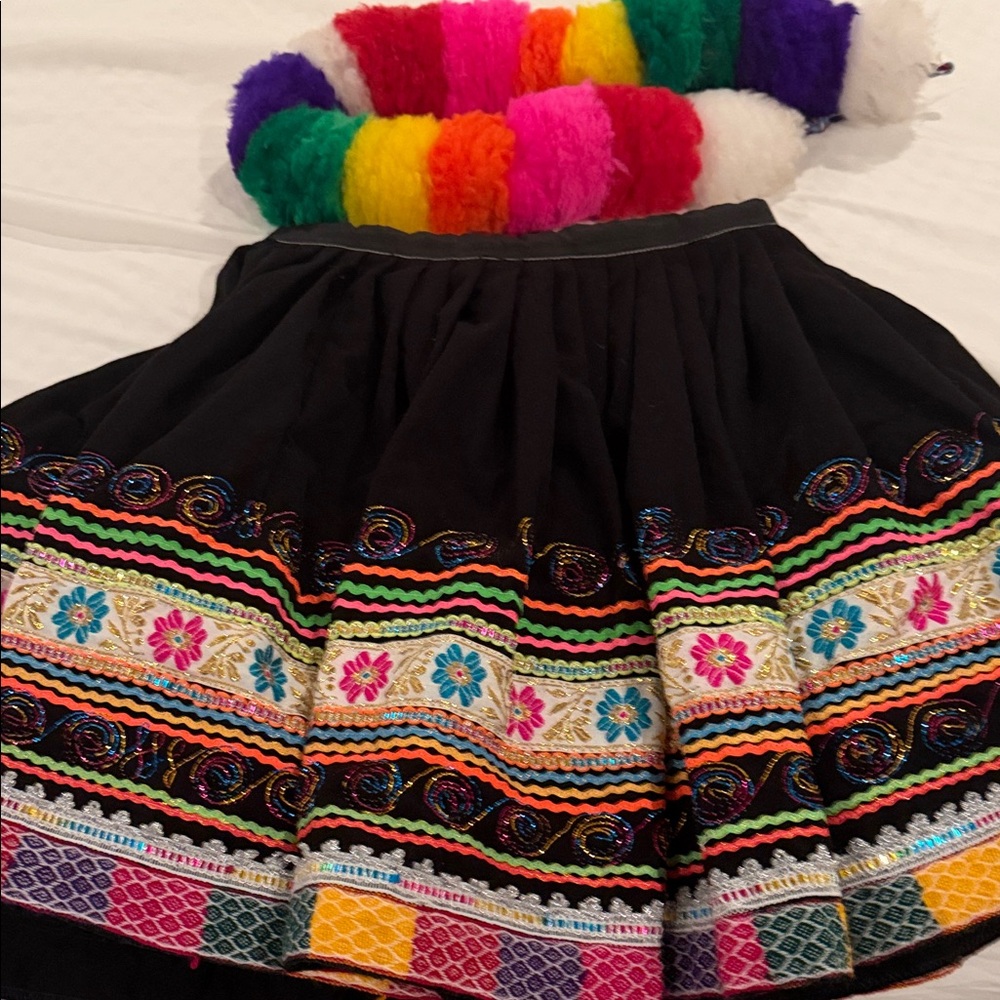 Vibrant Multicolor Embroidered A-Line Skirt